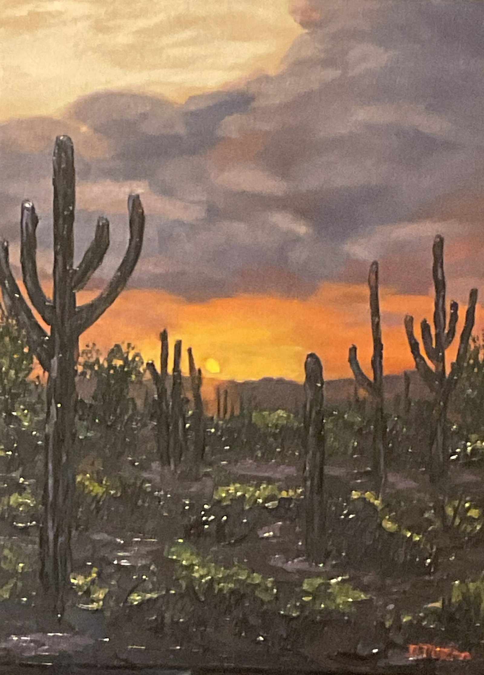 Portfolio Arizona Sunset 1824 Scaled