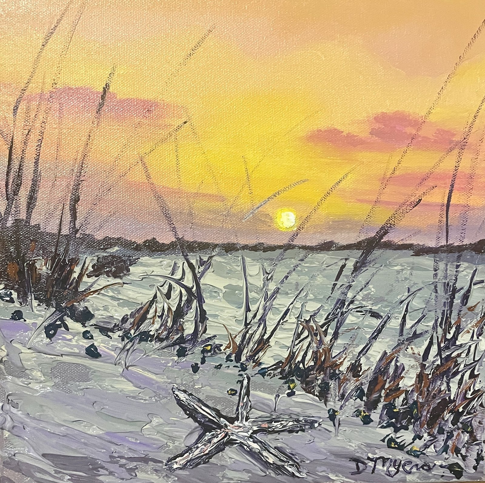 Portfolio OnStarfishTime